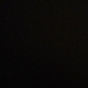 Meet your Posher, Rickey